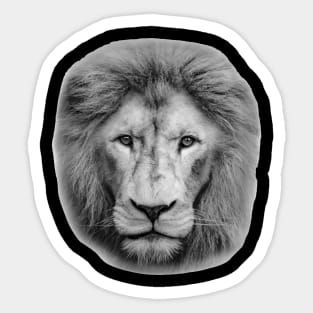 Lord of the Jungle Sticker